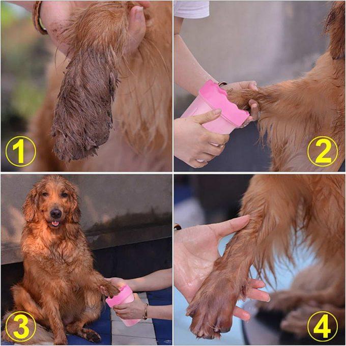как приучить собаку мыть лапы