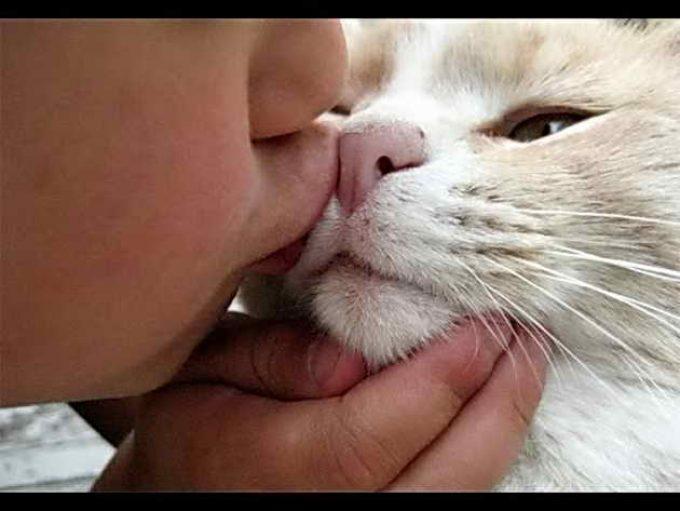 у кошки неприятный запах изо рта