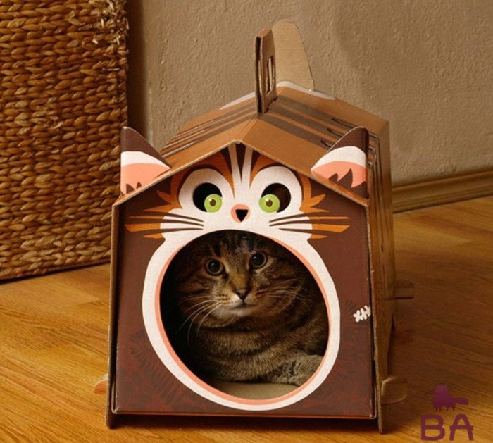 Почему кошки и коты прячутся в своих домиках?