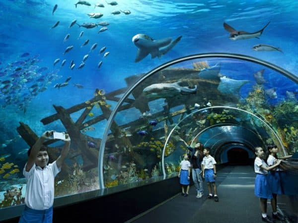 Океанариумы S.E.A.Aquarium (Сингапур)
