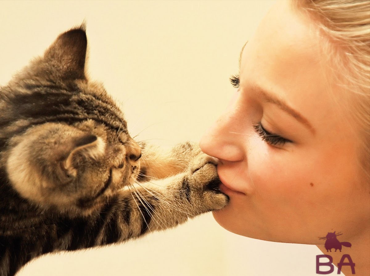Кот целует хозяйку
