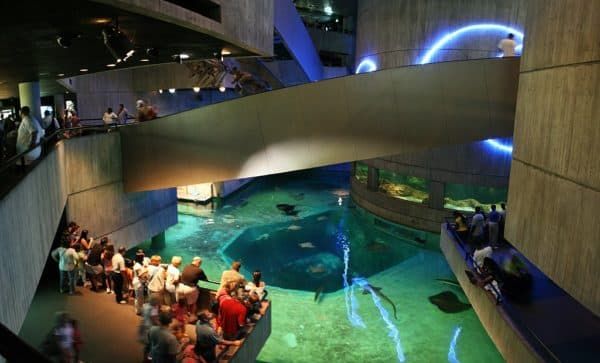 Национальный аквариум Балтимор (США)