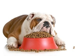диета для собаки при ожирении