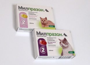 Какие бывают препараты от глистов для кошек?