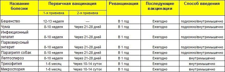 мини пекинес прививки