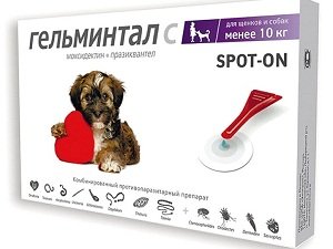 препараты от глистов для собак