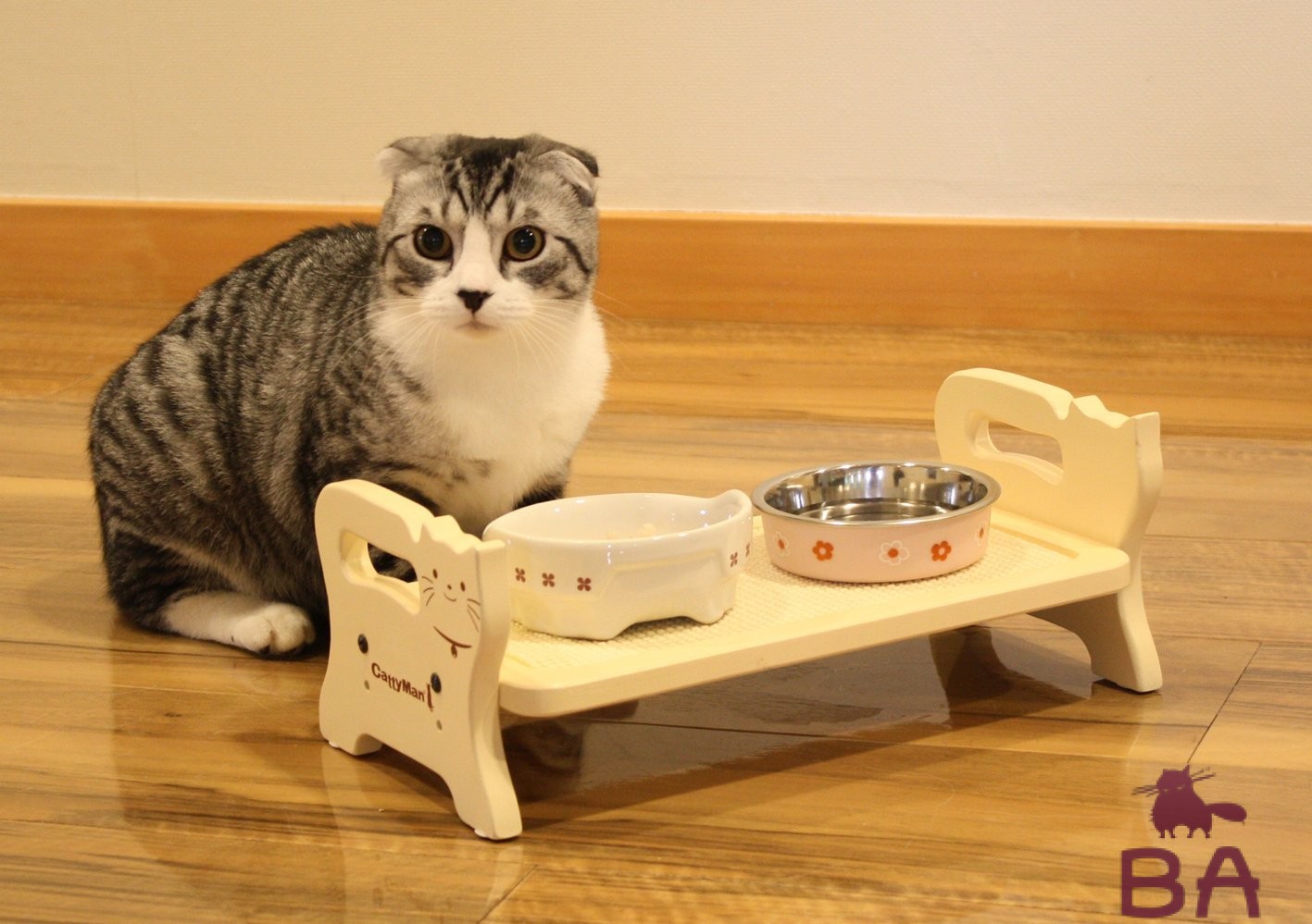 миска для кошки