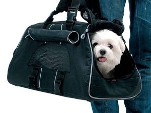 рюкзак переноска для собак