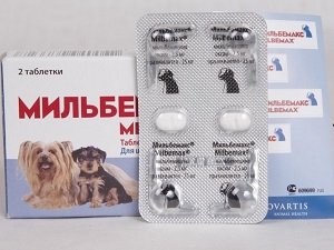 таблетки от глистов для собак